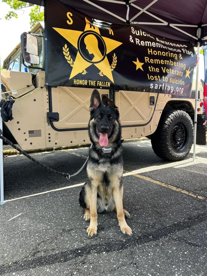 Blue Angel Car Show photo 16 of 18